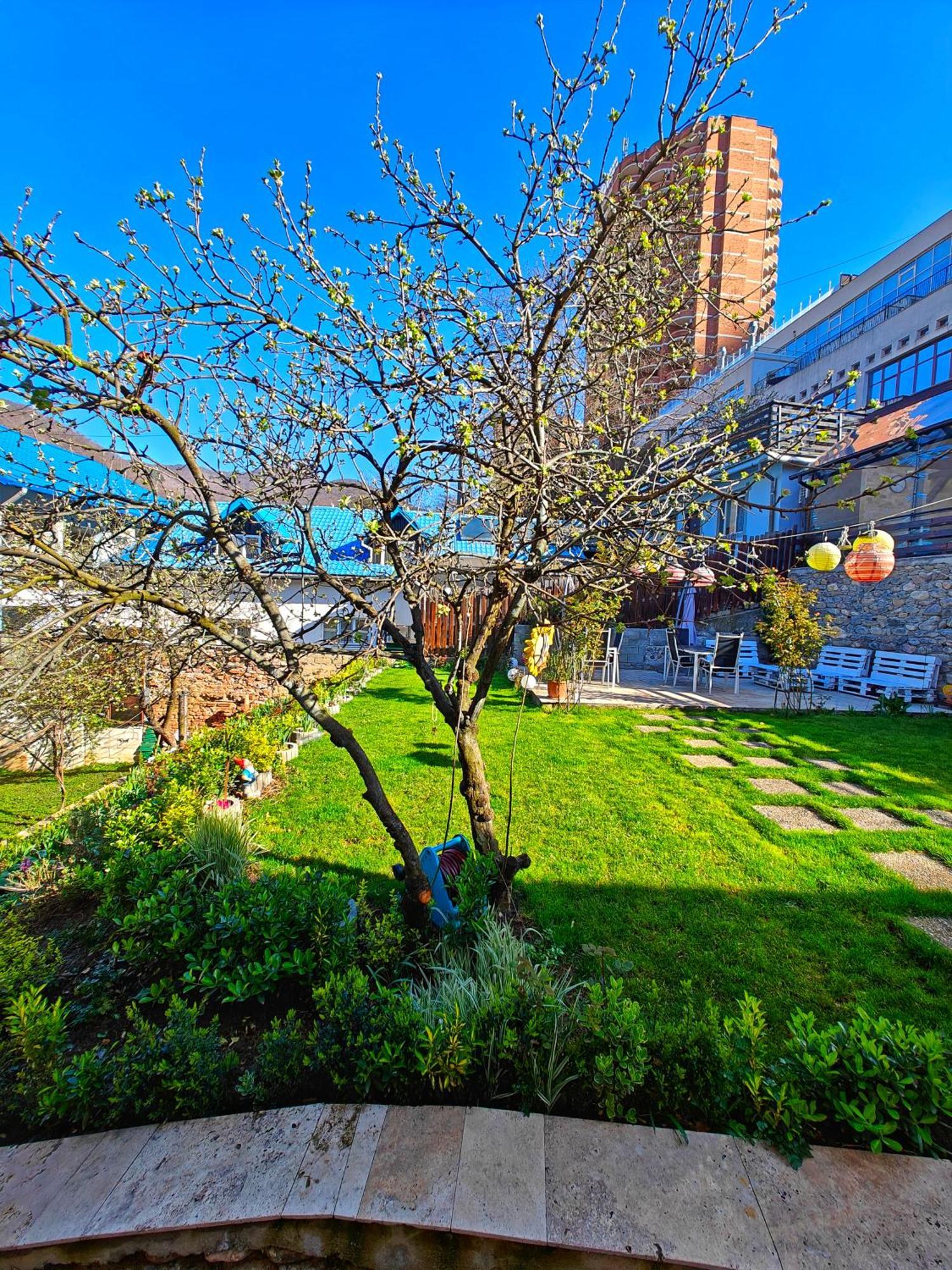Casa Miclau Διαμέρισμα Băile Herculane Εξωτερικό φωτογραφία