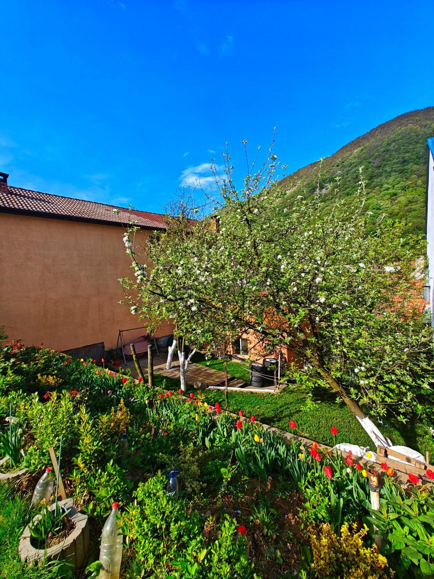 Casa Miclau Διαμέρισμα Băile Herculane Εξωτερικό φωτογραφία