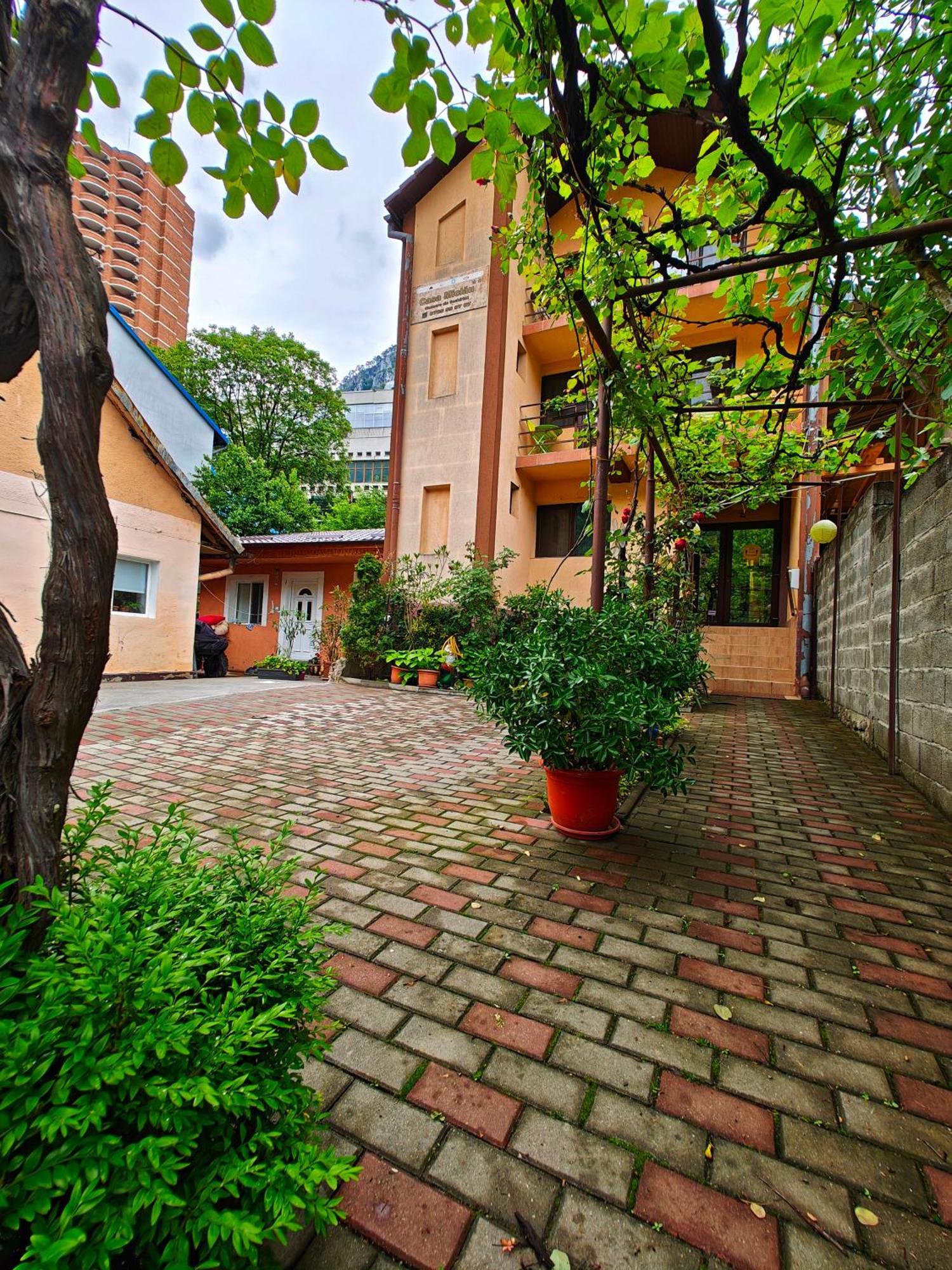 Casa Miclau Διαμέρισμα Băile Herculane Εξωτερικό φωτογραφία