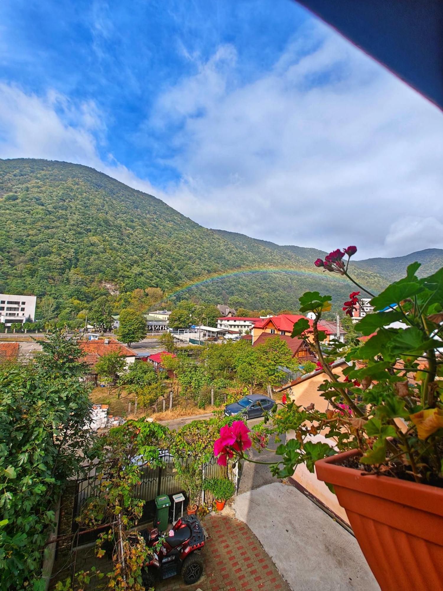 Casa Miclau Διαμέρισμα Băile Herculane Εξωτερικό φωτογραφία