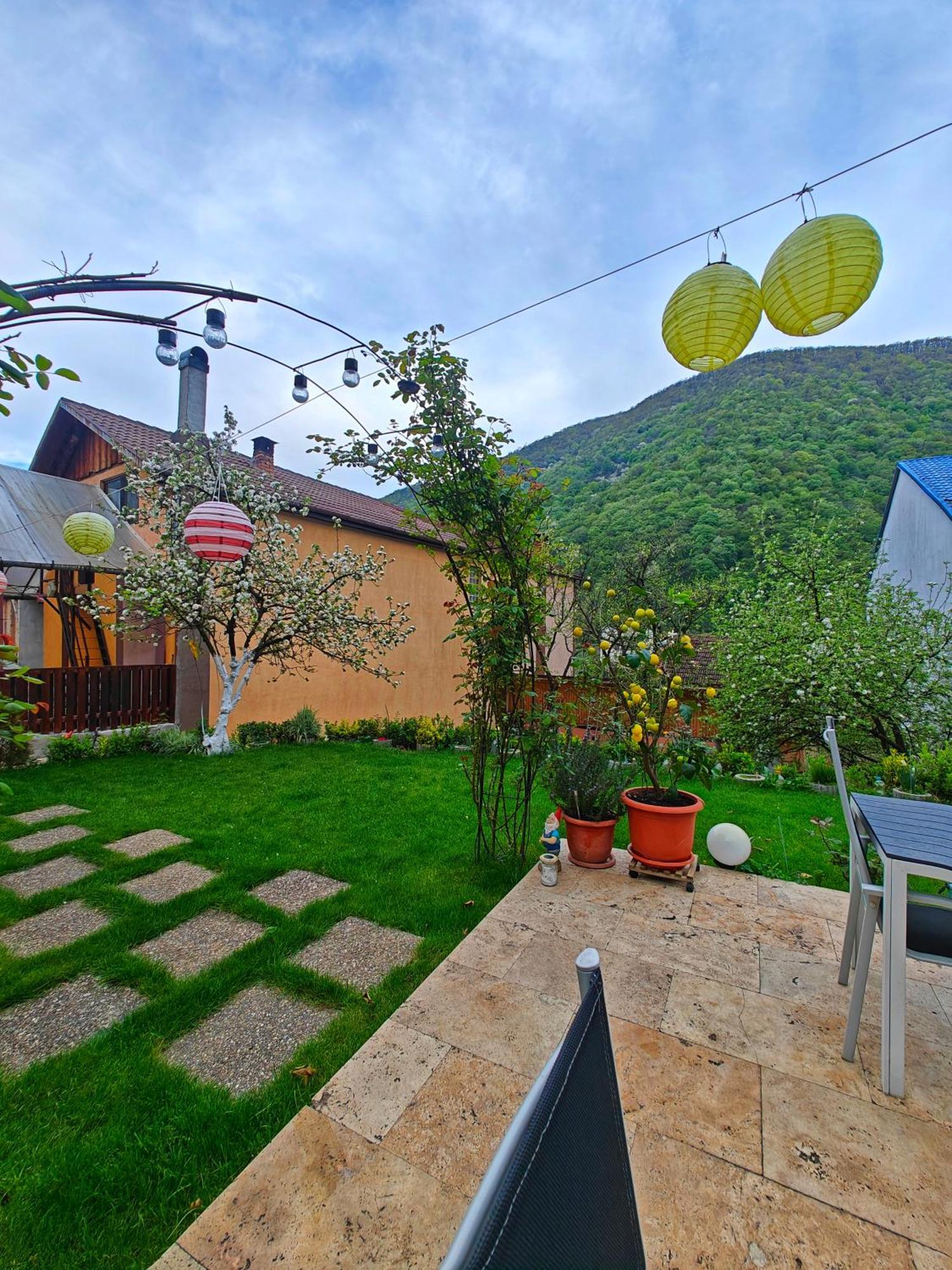 Casa Miclau Διαμέρισμα Băile Herculane Εξωτερικό φωτογραφία
