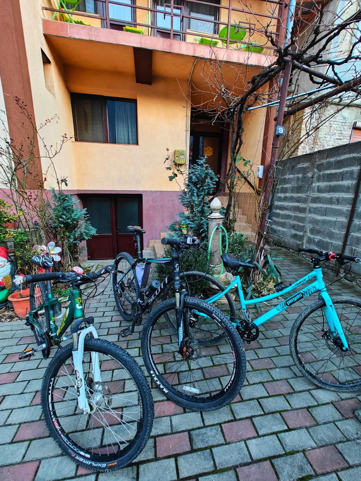 Casa Miclau Διαμέρισμα Băile Herculane Εξωτερικό φωτογραφία