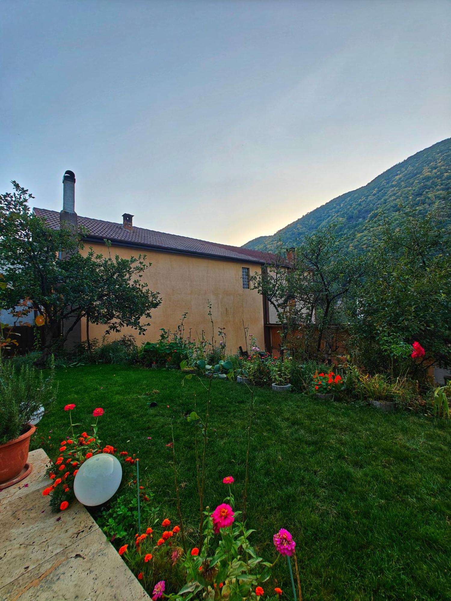 Casa Miclau Διαμέρισμα Băile Herculane Εξωτερικό φωτογραφία