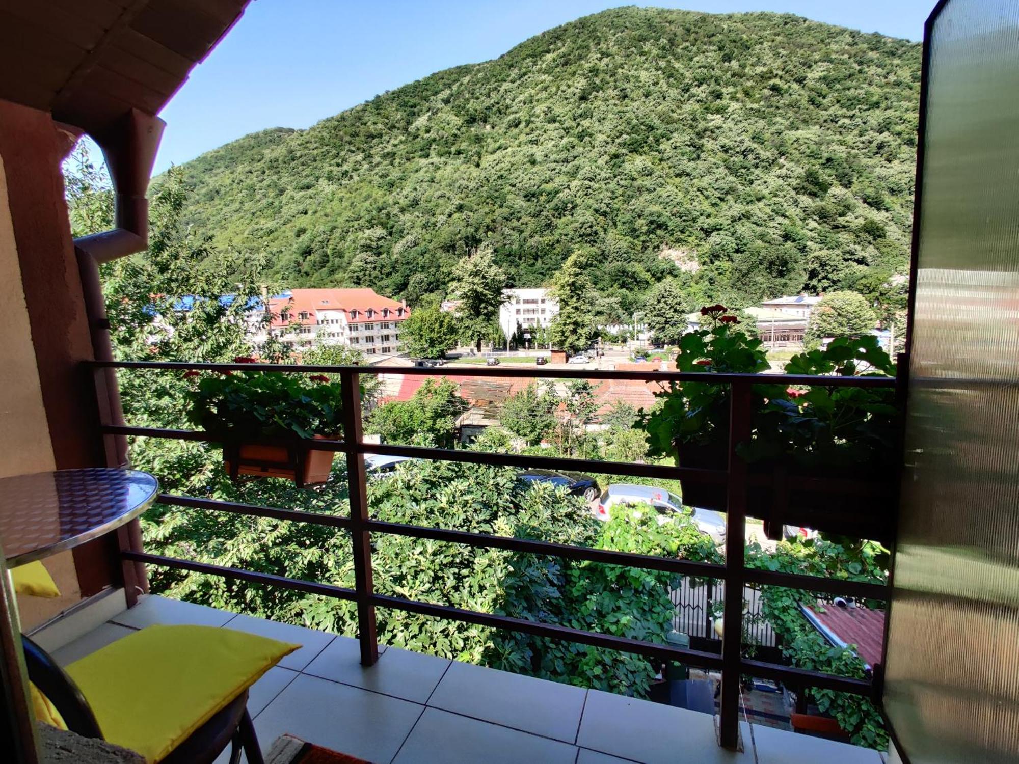 Casa Miclau Διαμέρισμα Băile Herculane Δωμάτιο φωτογραφία